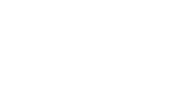 Fuse and Function logo
